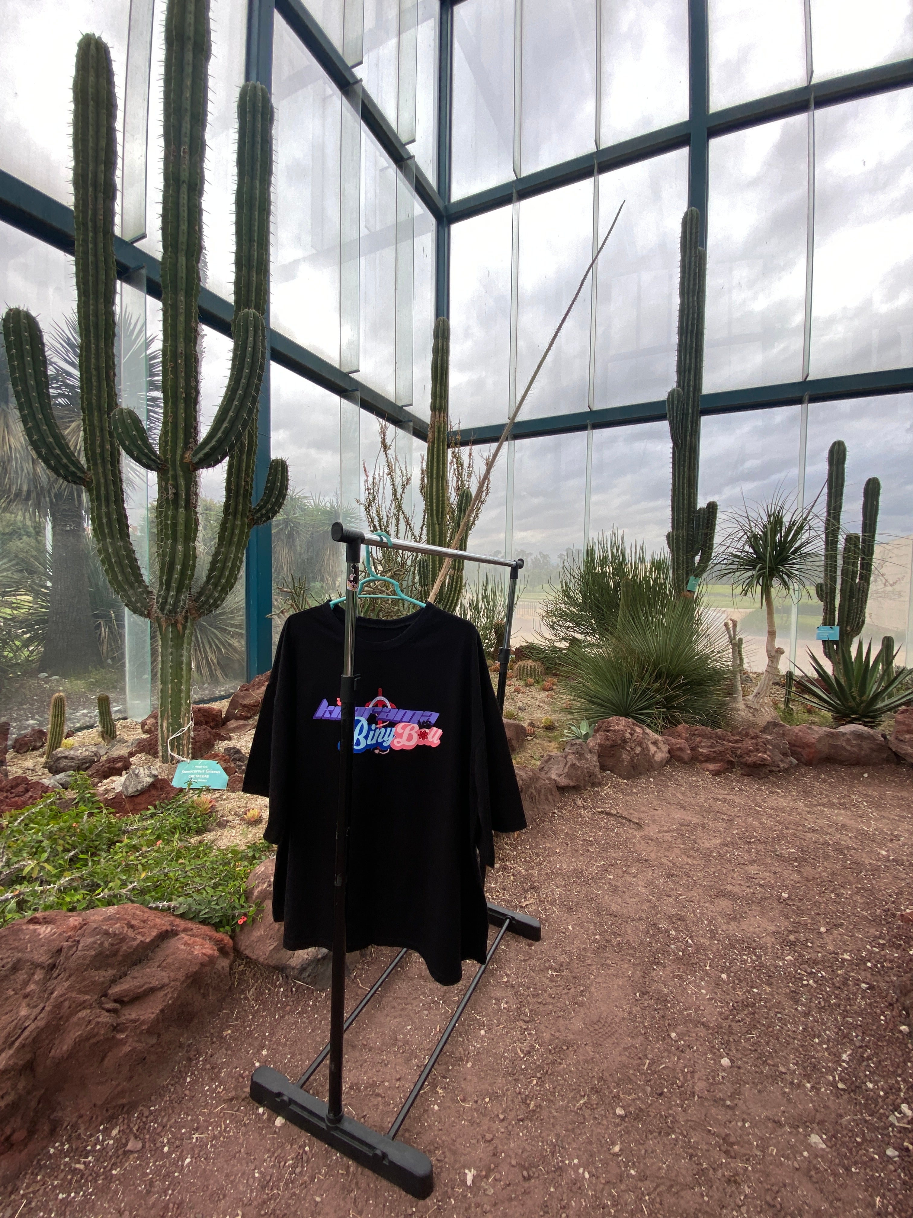 Kilarama Vs BinyBell